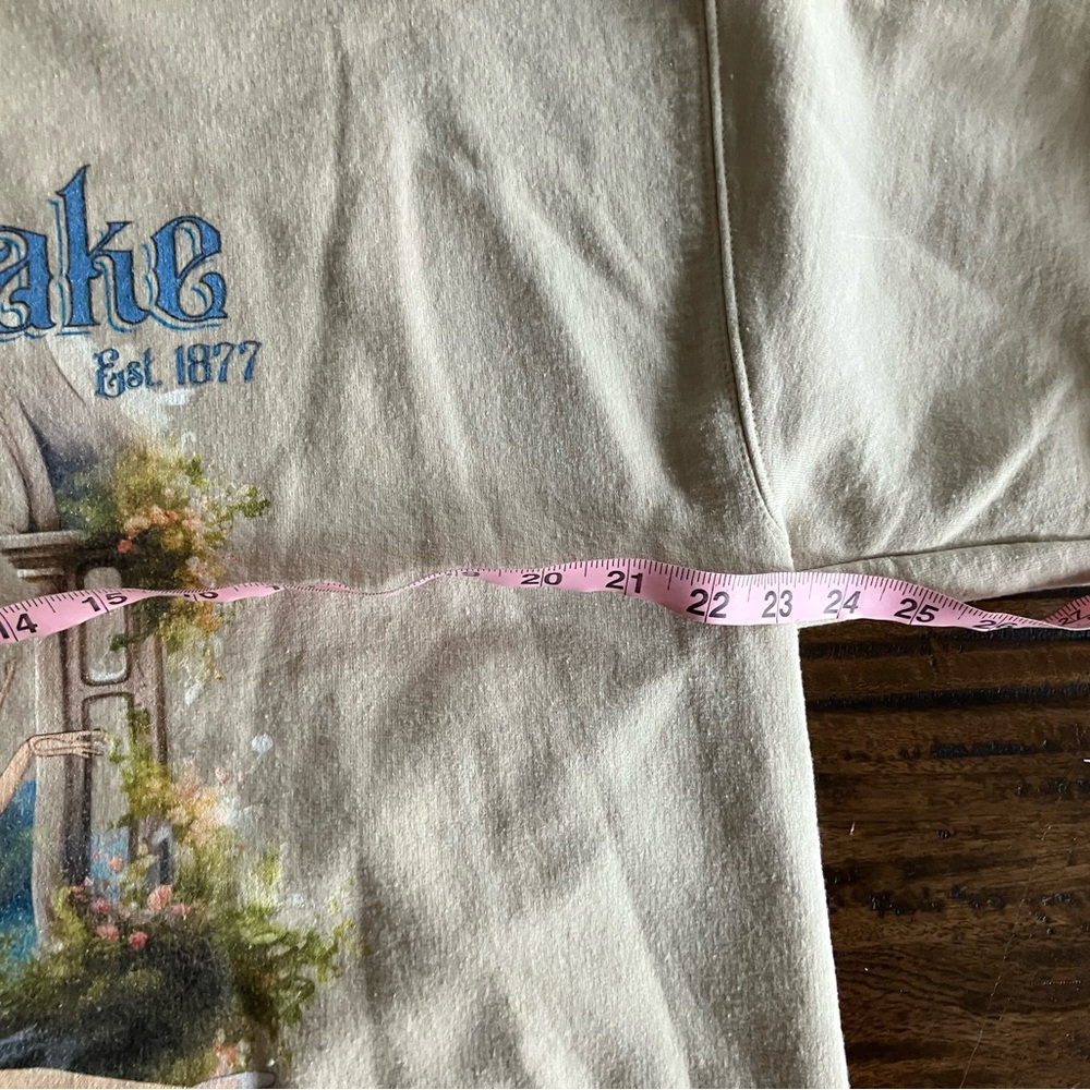 Swan Lake Graphic Sweatshirt - Picture 3 of 4